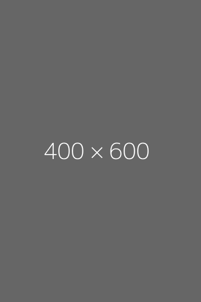dummy gray 400 600